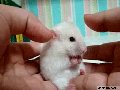 His reaction is priceless
