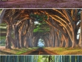 Beautiful trees