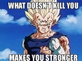 Truth in DBZ