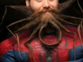 Spiderbeard