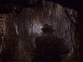 Raiders of the Lost Twerk
