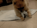 Hitting the snooze button
