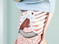 Anatomy