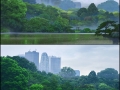 Animation vs Real Life