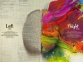 Brain