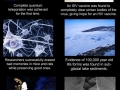 Amazing science stories