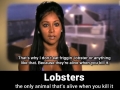 Why I don't eat lobster