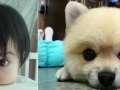 Who is cuter?