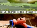 The Amazing Spider-Frog