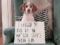 Best dog shaming ever!