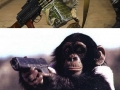 If animals have guns