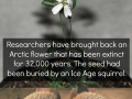 Scrat is not happy!