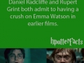 The Emma Watson effect