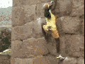 The New Spiderman
