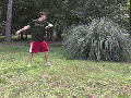 A spin wheel