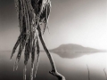Tanzanian Lake