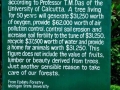 The true value of a tree