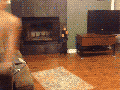 Silly human..