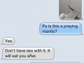 Is that a praying mantis?