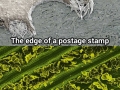 Things under microscope
