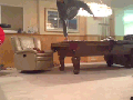 Terrifying but hilarious!