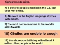Interesting facts