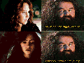 Hagrid, what am I?