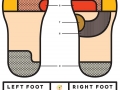 Foot Science