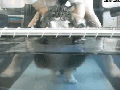Leg day