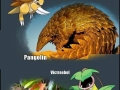 Pokemon in real life