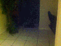 If humans moved like cats