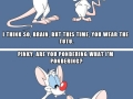 Pinky & The Brain