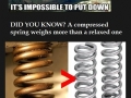 Fact corner