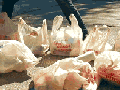 One trip!