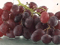 Grapes → Raisins