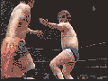 Japanese Pro Wrestling