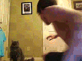 Karate Kitty