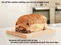 Loaf dog