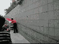 Fast and Furious