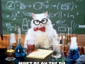 Chemistry is fun