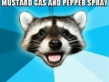 Lame pun coon