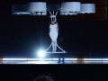 Lady Gaga's new dress