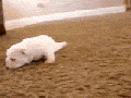 First steps