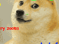Doge