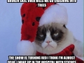 Grumpy cats jingle bells