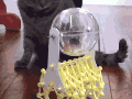 Hamster-powered walker