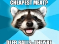 Lame pun coon