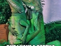 Iguana