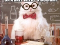 Chemistry cat