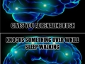 Good Guy Brain